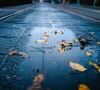 Herfst zet zich door: Dit staat ons te wachten met regen en frisse wind