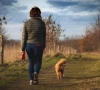 Met je hond gaan wandelen als het kouder en natter wordt? Hier moet je zeker op letten!