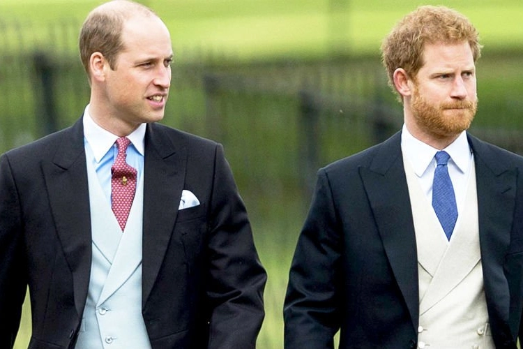 Straffe nieuwe onthullingen over verstoorde relatie tussen William en Harry: “Zowel boeiend als pijnlijk"