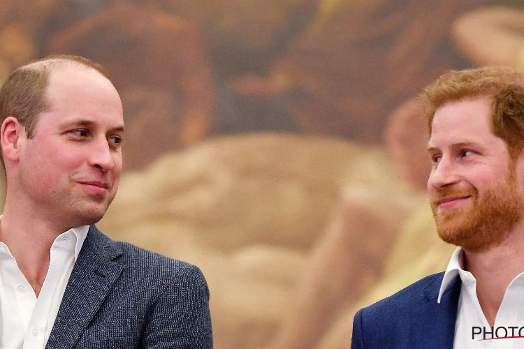 Nog steeds een haar in de boter tussen de broers?: “William en Harry maken ruzie over het standbeeld van hun moeder”