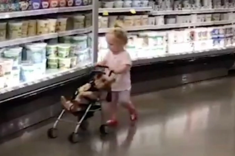 Wat een heerlijk filmpje: Schattige kleuter gaat met hond winkelen in supermarkt en doet dat op deze manier