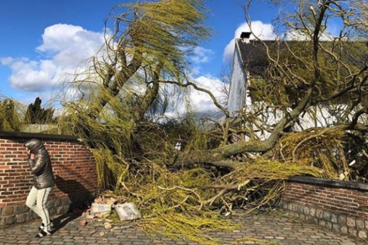 Storm houdt lelijk huis bij bekende Vlaming: "Heel veel schade"