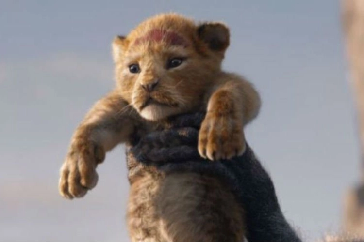 Waanzinnig! Zoveel mensen zijn er in België al naar ‘The Lion King’ gaan kijken