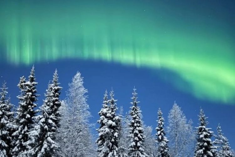 Julie Vermeire noorderlicht